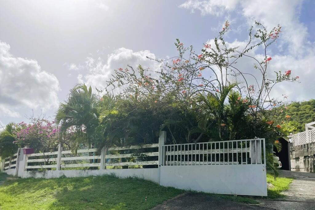 Villa Caraibes Sainte-Luce Zewnętrze zdjęcie