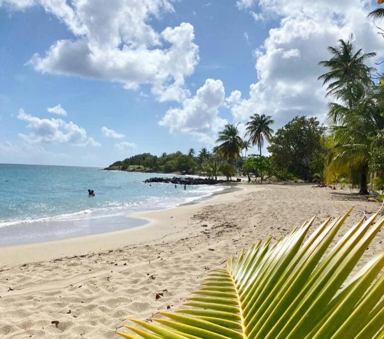 Villa Caraibes Sainte-Luce Zewnętrze zdjęcie