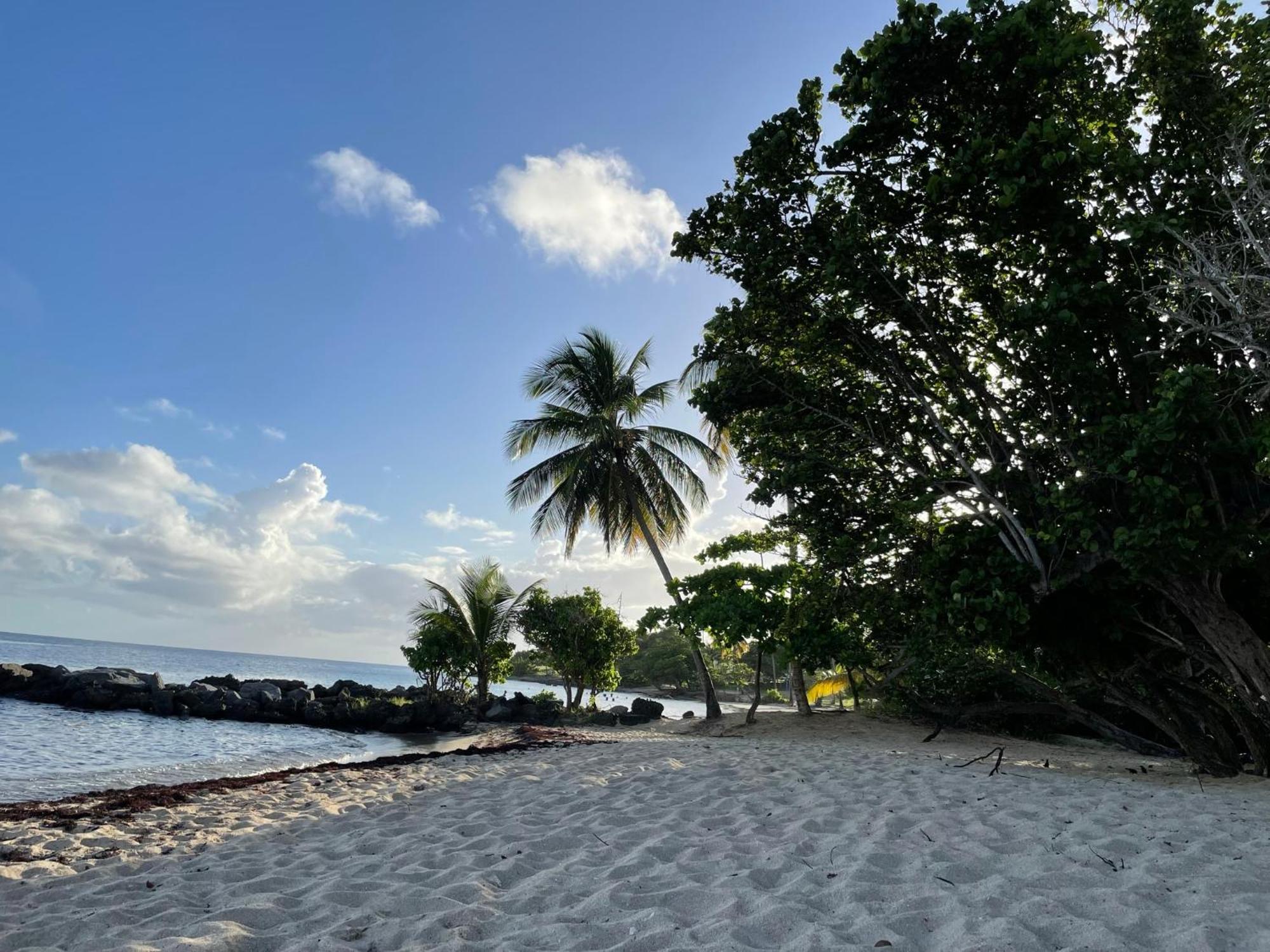 Villa Caraibes Sainte-Luce Zewnętrze zdjęcie